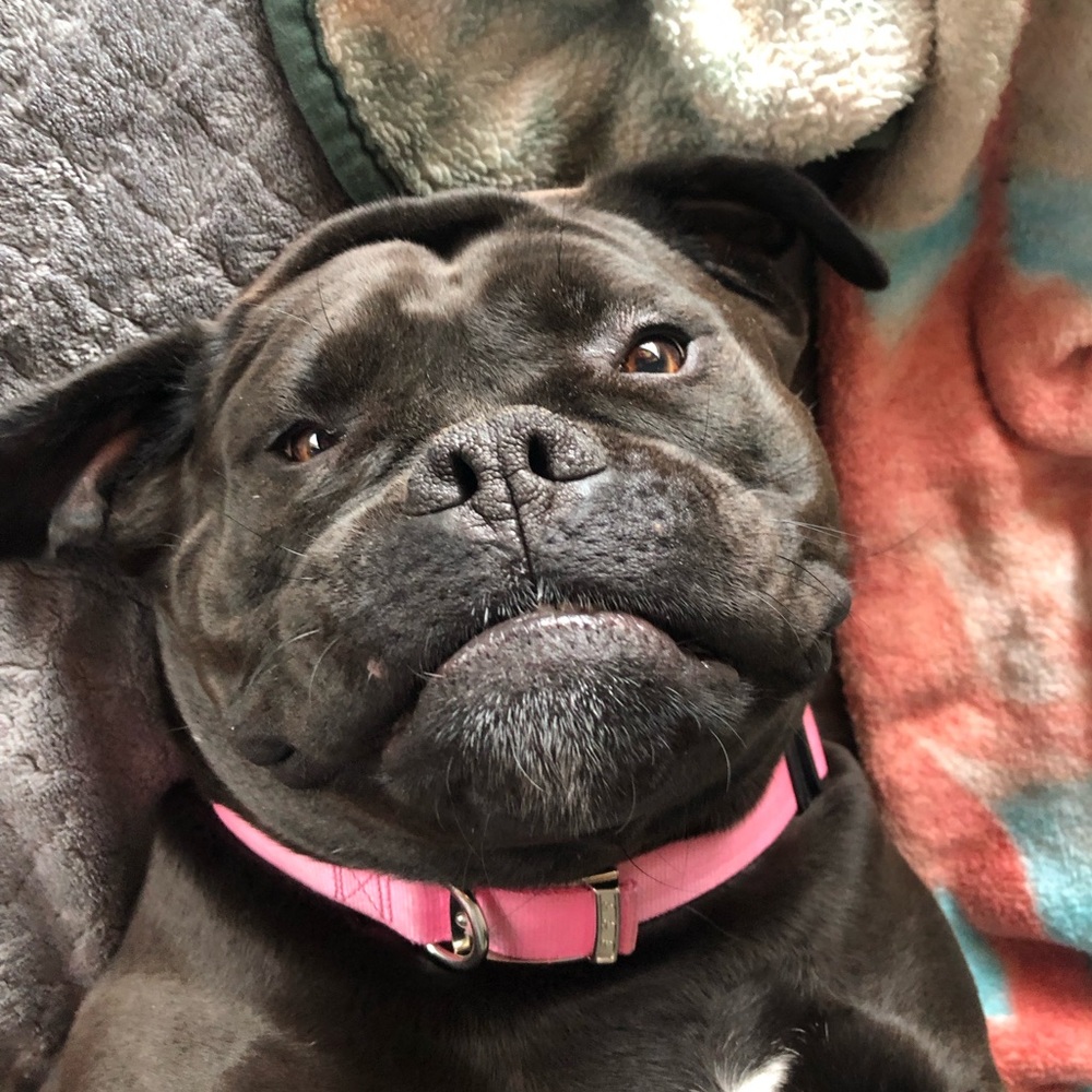 Meet your Posher, Jackie